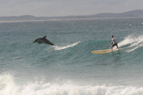 Crescent Head Spa Villa - Phillip Island Accommodation 22