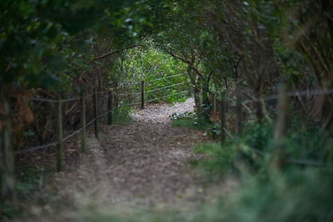 Ingenia Holidays Byron Bay - Phillip Island Accommodation 15