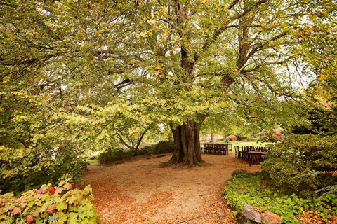 Nesuto Leura Gardens (formerly Waldorf Leura Gardens Resort) - Phillip Island Accommodation 1