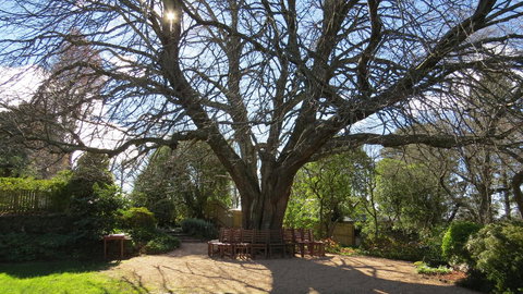 Nesuto Leura Gardens (formerly Waldorf Leura Gardens Resort) - Phillip Island Accommodation 3