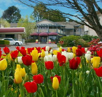 Nesuto Leura Gardens formerly Waldorf Leura Gardens Resort - Phillip Island Accommodation