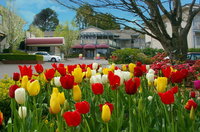 Book Leura Accommodation Vacations Phillip Island Accommodation Phillip Island Accommodation