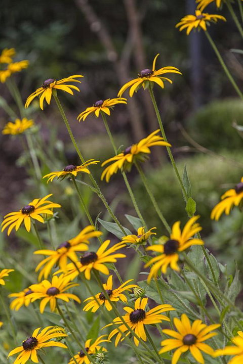 Nesuto Leura Gardens (formerly Waldorf Leura Gardens Resort) - Phillip Island Accommodation 15