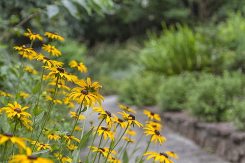 Nesuto Leura Gardens (formerly Waldorf Leura Gardens Resort) - Phillip Island Accommodation 16