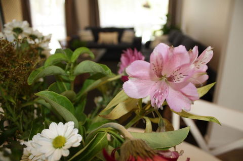 Ocean Breeze At Caba - Phillip Island Accommodation 11