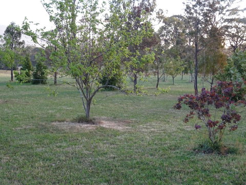 Romanz In The Valley (Luxury B&B) - Phillip Island Accommodation 32