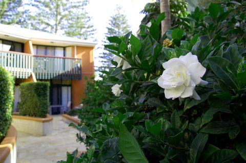 The Crest Byron Bay - Phillip Island Accommodation 29