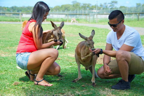 On The Beach Getaway - Phillip Island Accommodation 25