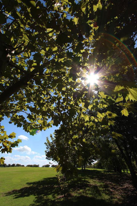 Crowne Plaza Hawkesbury Valley, An IHG Hotel - Phillip Island Accommodation 43