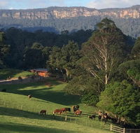 Amaroo Valley Springs - Phillip Island Accommodation