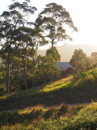 Book Bawley Point Accommodation Vacations Phillip Island Accommodation Phillip Island Accommodation