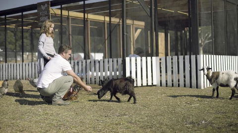 The Woods Farm Jervis Bay - Phillip Island Accommodation 14