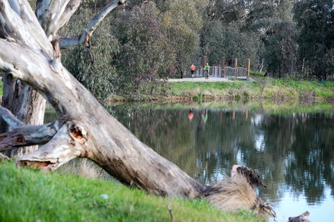 Mercure Albury - Phillip Island Accommodation 15