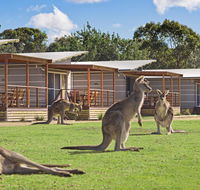 Discovery Parks  Pambula Beach - Phillip Island Accommodation