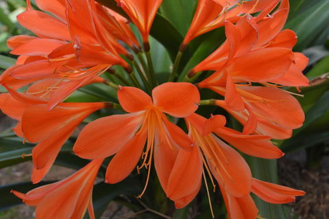 JE Guesthouse, Central To All The Hunter Valley Has To Offer - Phillip Island Accommodation 39