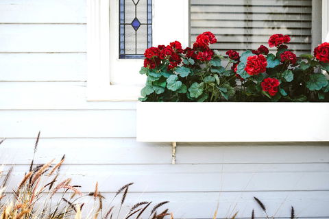 Morpeth Cottage - Phillip Island Accommodation 41