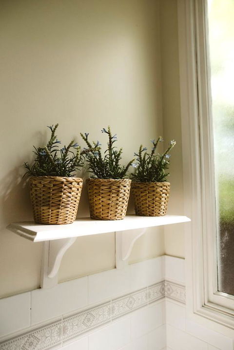 Morpeth Cottage - Phillip Island Accommodation 31