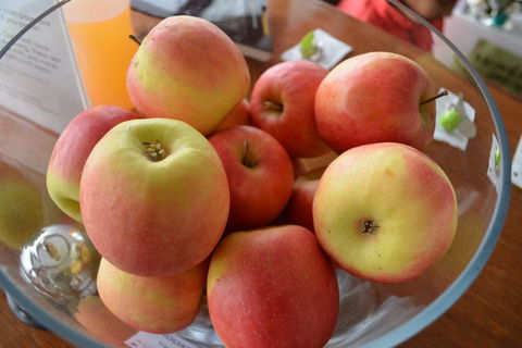 The Apple Inn - Phillip Island Accommodation 12