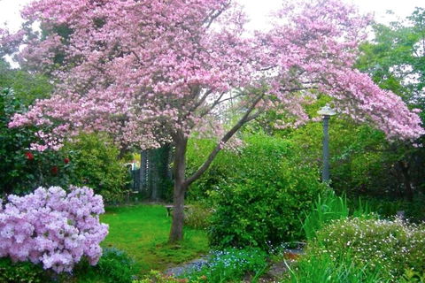 Dangal Gardens - Phillip Island Accommodation 3