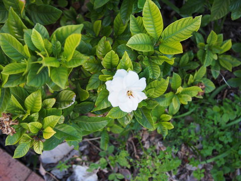 Bellevue Accommodation - Phillip Island Accommodation 21