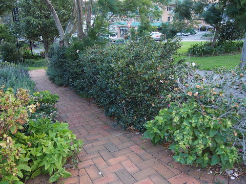 Bellevue Accommodation - Phillip Island Accommodation 22