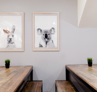 Mad Monkey Backpackers on Broadway - Phillip Island Accommodation