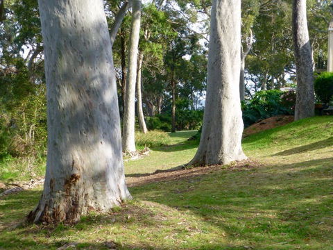 The Retreat At Palm Beach - Phillip Island Accommodation 4
