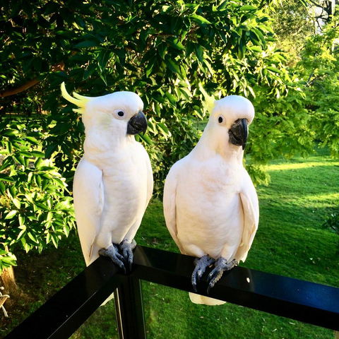 The Retreat At Palm Beach - Phillip Island Accommodation 17