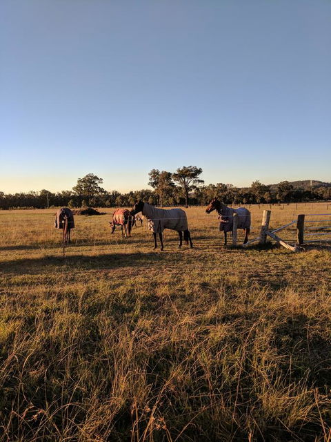 Madigan Wine Country Cottages - Phillip Island Accommodation 8