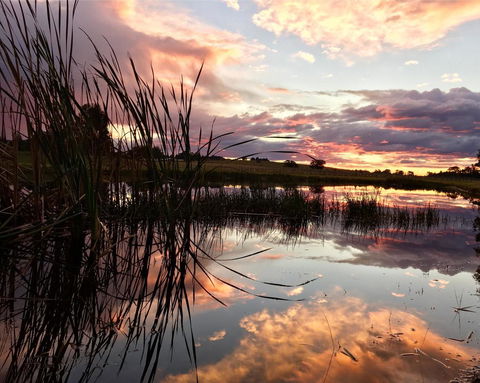 Madigan Wine Country Cottages - Phillip Island Accommodation 16