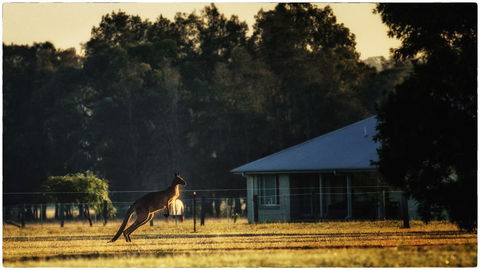 Madigan Wine Country Cottages - Phillip Island Accommodation 5