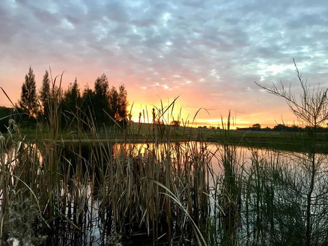 Madigan Wine Country Cottages - Phillip Island Accommodation 14