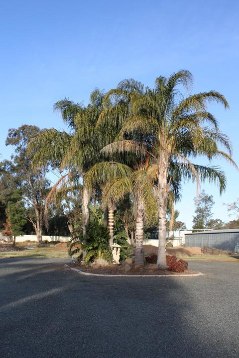 Temora Motel - Phillip Island Accommodation 6