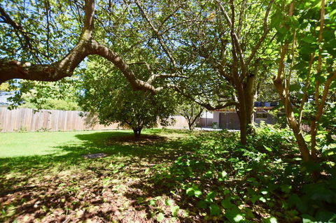 Wildlife Lodge Katoomba - Phillip Island Accommodation 26