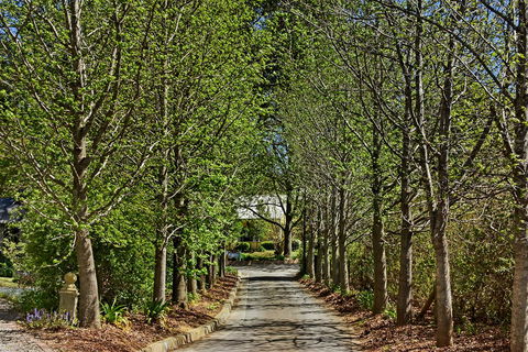 Bundanoon Lodge - Phillip Island Accommodation 12