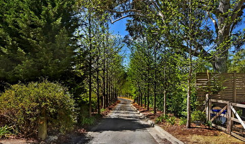 Bundanoon Lodge - Phillip Island Accommodation 21