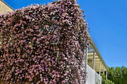 Bundanoon Lodge - Phillip Island Accommodation 13