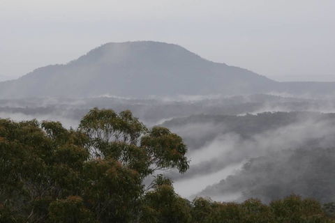 Christopher Tiny House - Phillip Island Accommodation 5