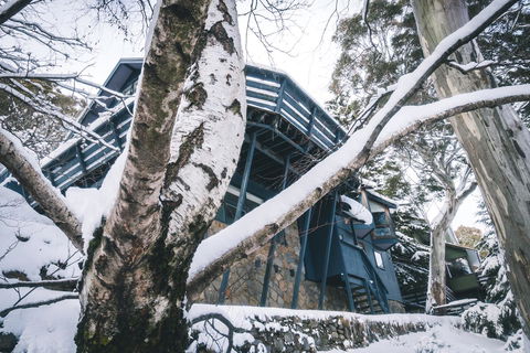 Pure Chalet Thredbo - Phillip Island Accommodation 21