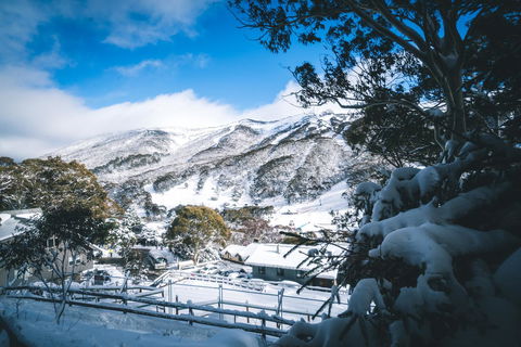 Pure Chalet Thredbo - Phillip Island Accommodation 31