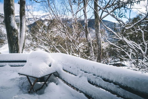 Pure Chalet Thredbo - Phillip Island Accommodation 19