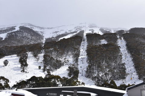 Pure Chalet Thredbo - Phillip Island Accommodation 6