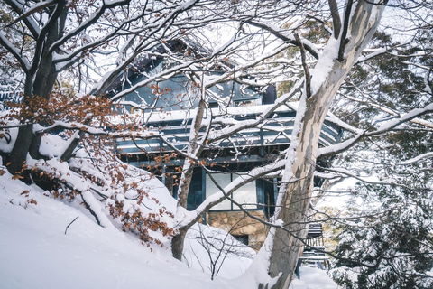 Pure Chalet Thredbo - Phillip Island Accommodation 27