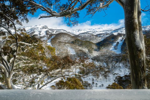 Pure Chalet Thredbo - Phillip Island Accommodation 17