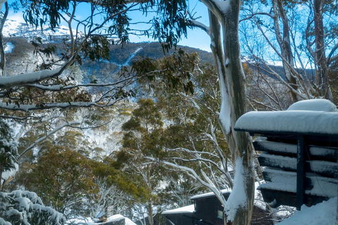 Pure Chalet Thredbo - Phillip Island Accommodation 30