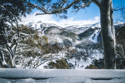 Pure Chalet Thredbo - Phillip Island Accommodation 2