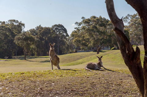 Horizons Retreat & Golf, Villa 133 - Phillip Island Accommodation 18