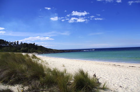 Jackson Ranch By Bannisters - Phillip Island Accommodation 32