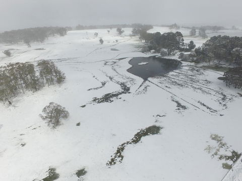 Brae Lossie - Phillip Island Accommodation 1