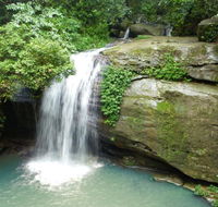 Buderim Forest Hideaway - Phillip Island Accommodation